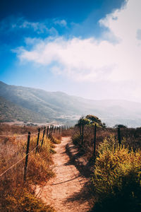 Scenic view of landscape against sky