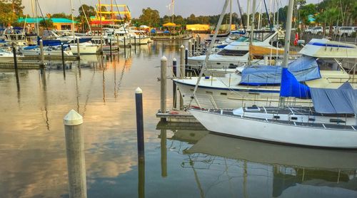 Boats moored at harbor