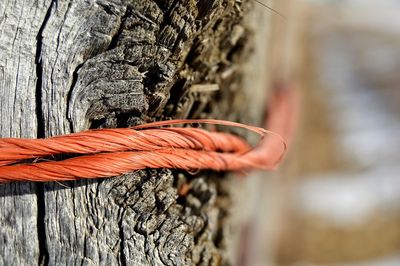 Hay bale twine around wooden post 