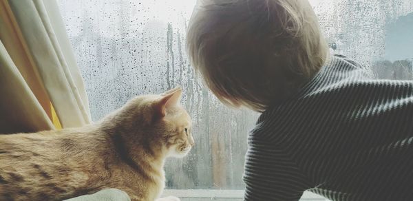 Cat and baby looking through window at home