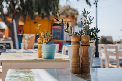 Close-up of potted plant on table in restaurant