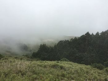 Scenic view of landscape against sky