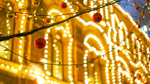 Low angle view of illuminated lanterns hanging on tree