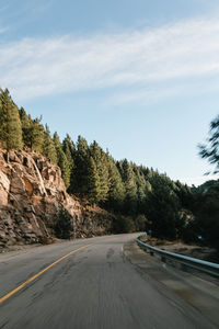 Road amidst trees against sky