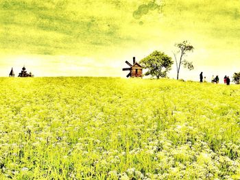 Scenic view of field against sky