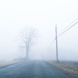 Foggy road in countryside