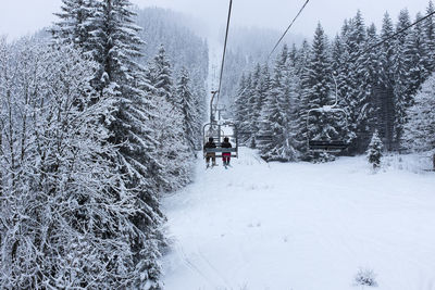 Person skiing on snow covered field