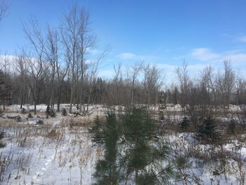 Scenic view of frozen lake against sky during winter