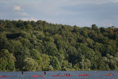 Scenic view of lake against trees in forest