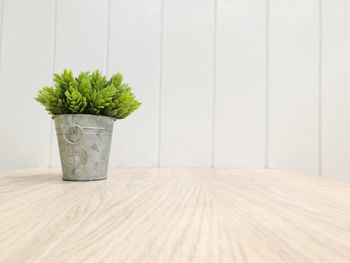 Potted plant on table against white wall