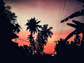 Low angle view of palm trees against sky at sunset