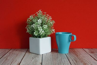 Potted plant on table