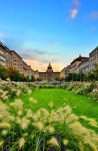 View of historic building against blue sky