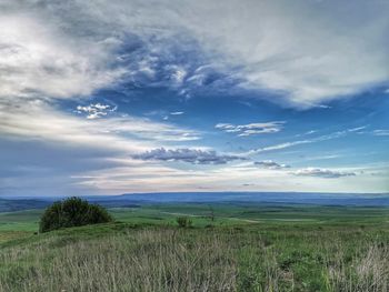 Scenic view of field against sky