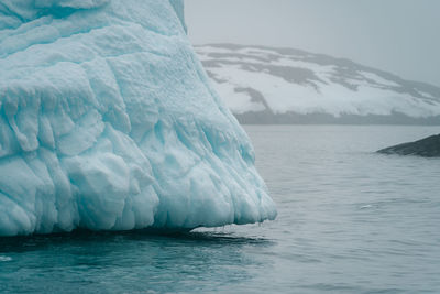 Icebergs in greenland