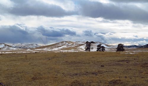 Scenic view of landscape against sky