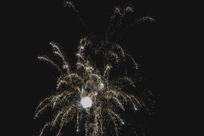 Low angle view of firework display at night