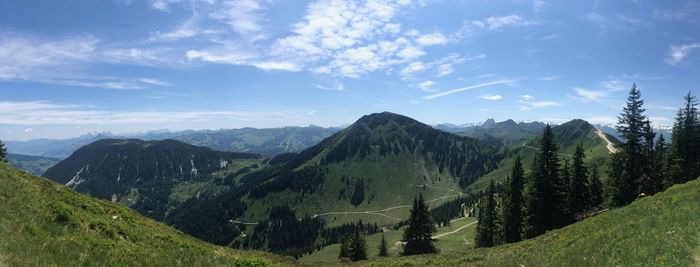 Panoramic shot of trees and mountains against sky