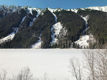 Snow covered land and trees against sky