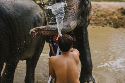 Rear view of shirtless man washing elephant with water pipe while standing in lake