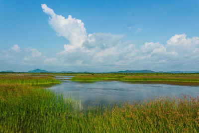 Scenic view of lake against sky