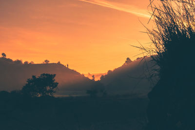 Silhouette trees on landscape against orange sky