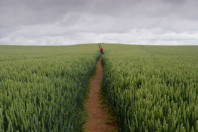 landscape