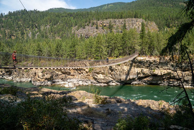 Scenic view of river flowing through forest