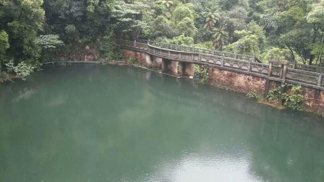 water, connection, bridge - man made structure, tree, built structure, river, reflection, architecture, waterfront, bridge, tranquility, arch bridge, nature, tranquil scene, canal, footbridge, beauty in nature, scenics, lake, transportation