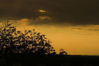 Low angle view of silhouette trees against sky during sunset