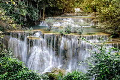 Scenic view of waterfall in forest