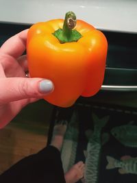 Close-up of hand holding tomato