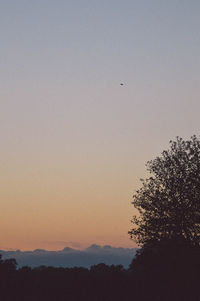 Low angle view of silhouette trees against clear sky