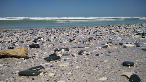 Surface level of beach against sky