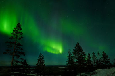 Trees on landscape against sky at night