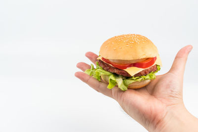 Close-up of hand holding apple against white background
