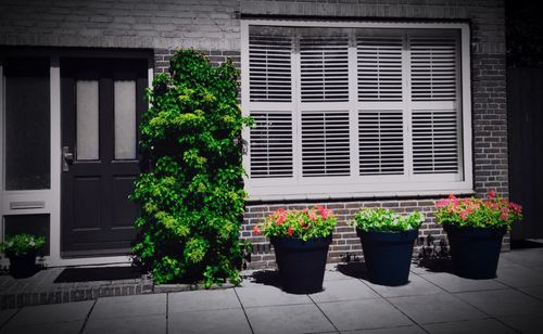 Potted plants against built structure