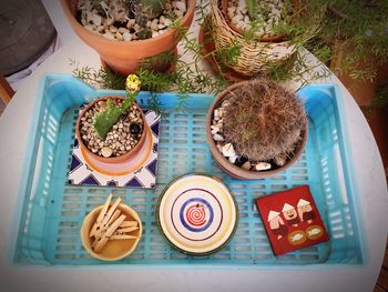 High angle view of cookies served on table