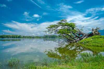 Scenic view of lake against sky