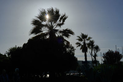 Low angle view of palm trees against clear sky