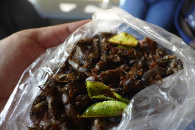 Close-up of food in plate