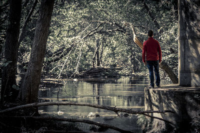 Rear view of man standing amidst trees in forest