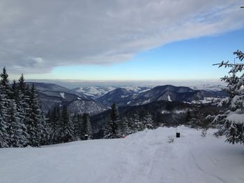 Scenic view of landscape against sky during winter