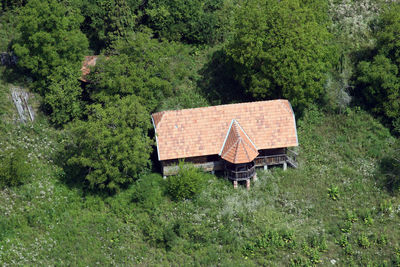 Lifeguard hut on land in forest