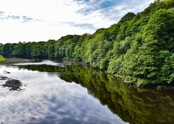 Scenic view of lake amidst trees in forest against sky