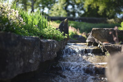 Water flowing through rocks