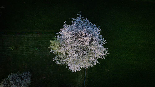 Close-up of frozen lake at night