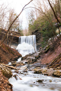 Scenic view of waterfall in forest