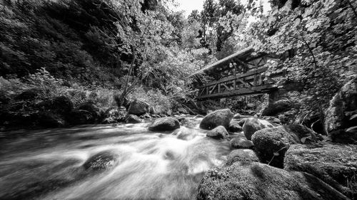 Scenic view of waterfall in forest