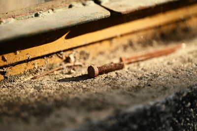 Close-up of rusty metal